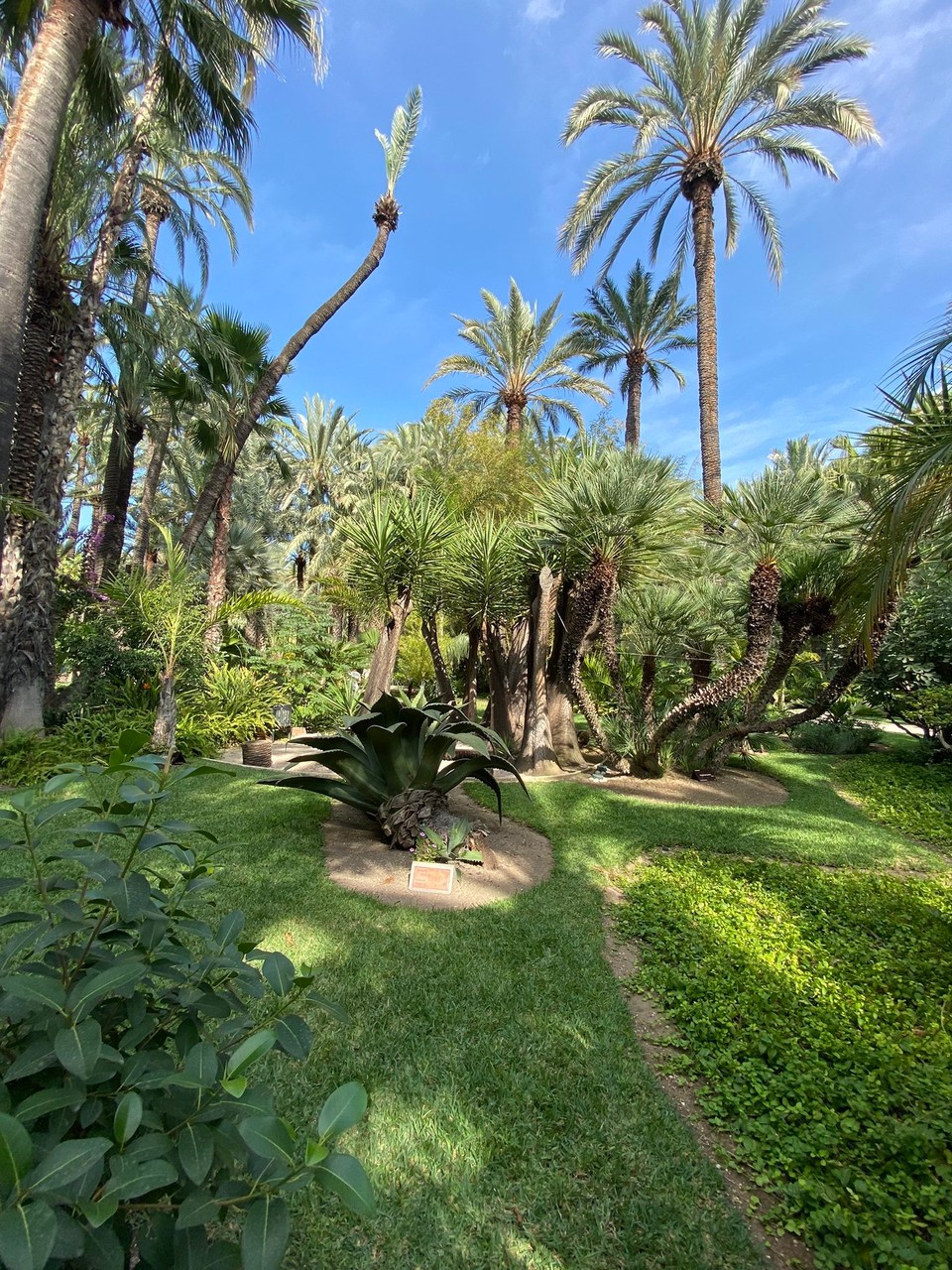 Spanien - Alicante - 