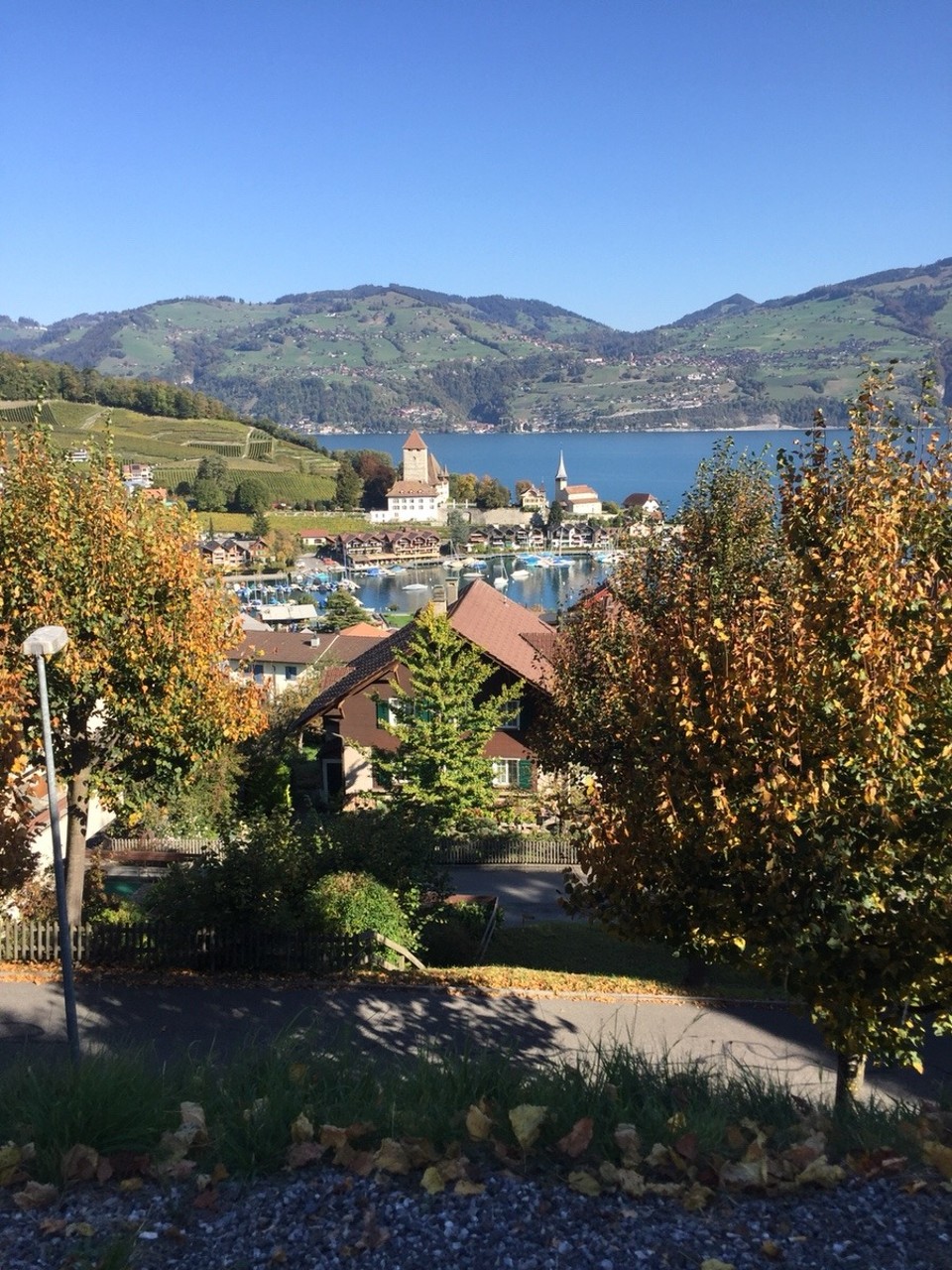 Deutschland - Ludwigshafen am Rhein - Dörfchen am Thunersee