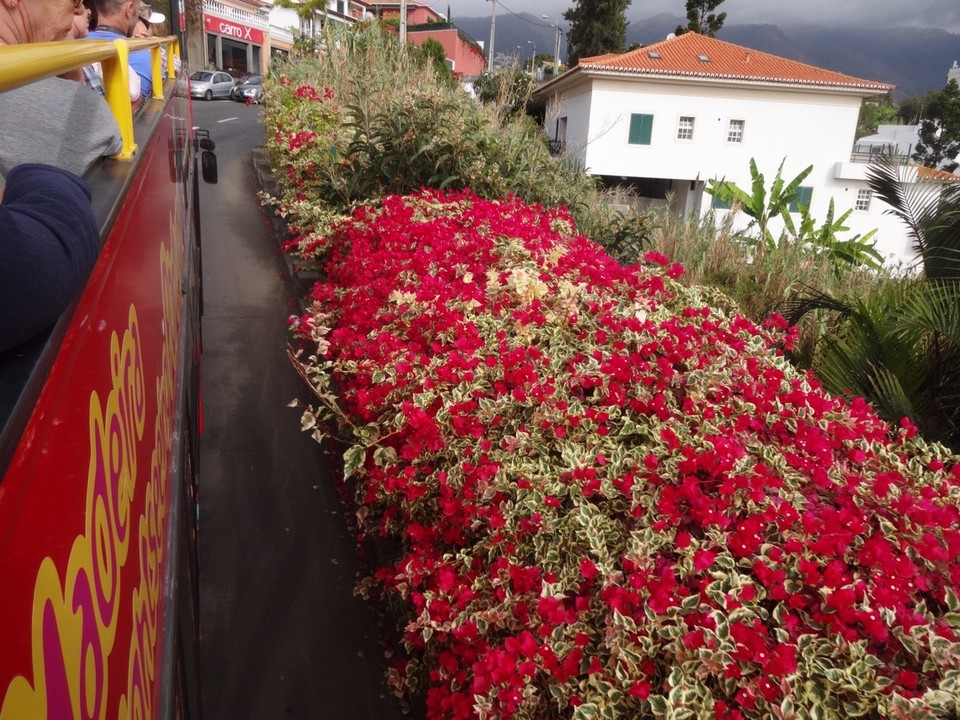  - Portugal, Funchal, Porto da Madeira - Das