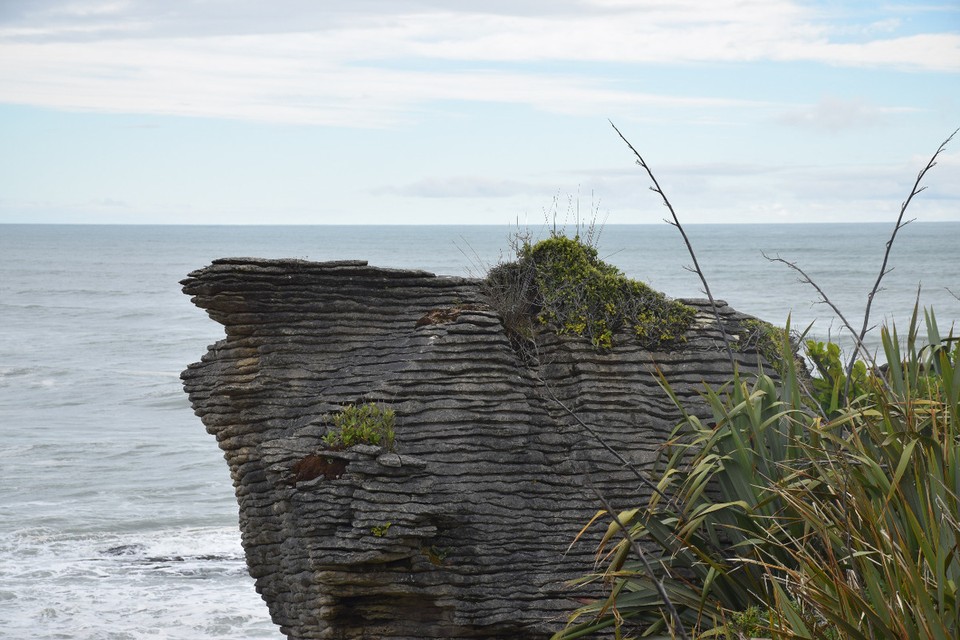 Neuseeland - Pancake Rocks - 