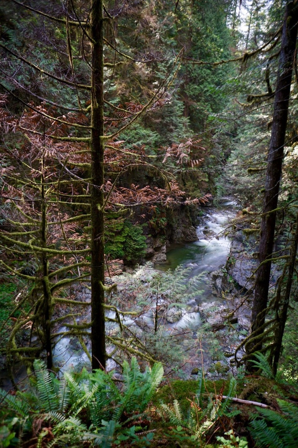 Kanada - North Vancouver - 