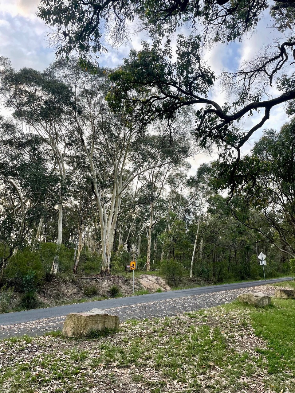 Australien - Blue Mountains - Ab zum Obigquartier
