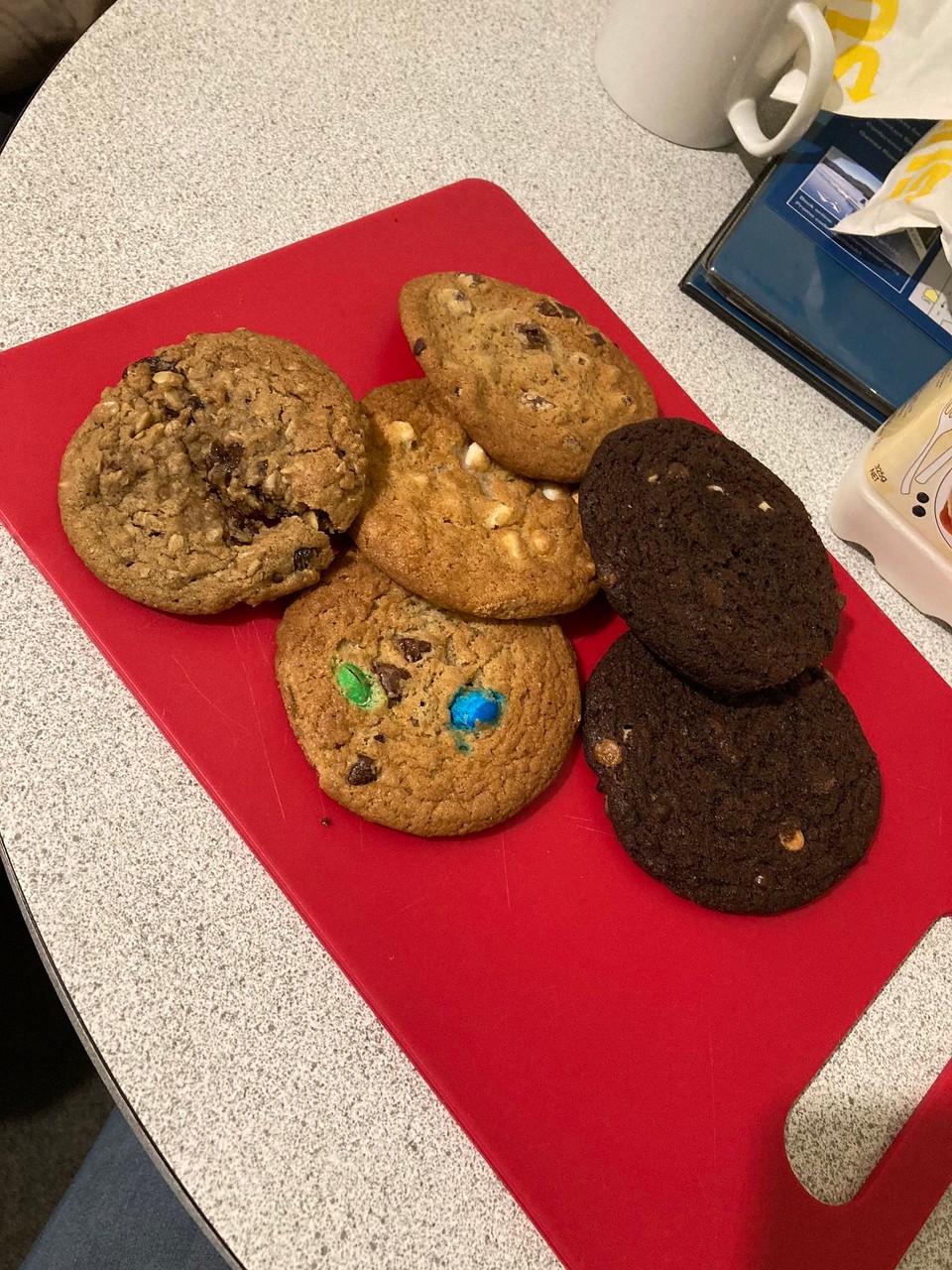 Neuseeland - Kaikōura - Cookie Time 😬🤩
