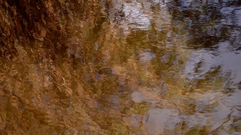 Spanien - Muro - Spiegelung im Kanal.
Im Naturpark. Viele Mücken !