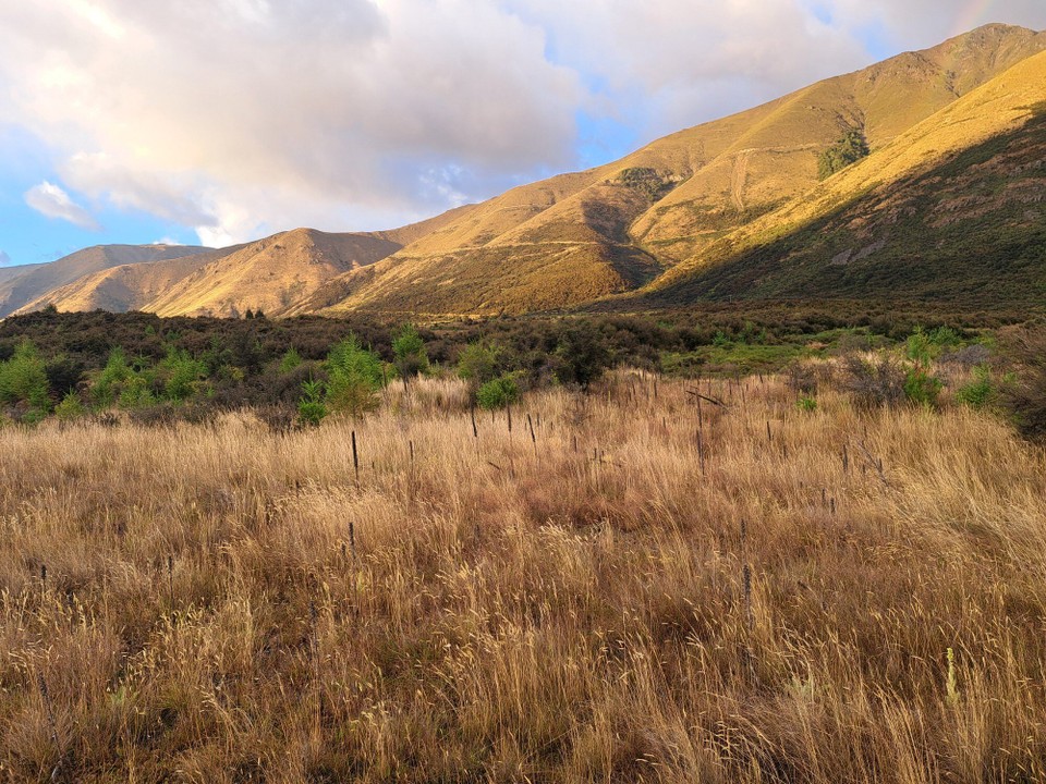 Neuseeland - John Creek - 