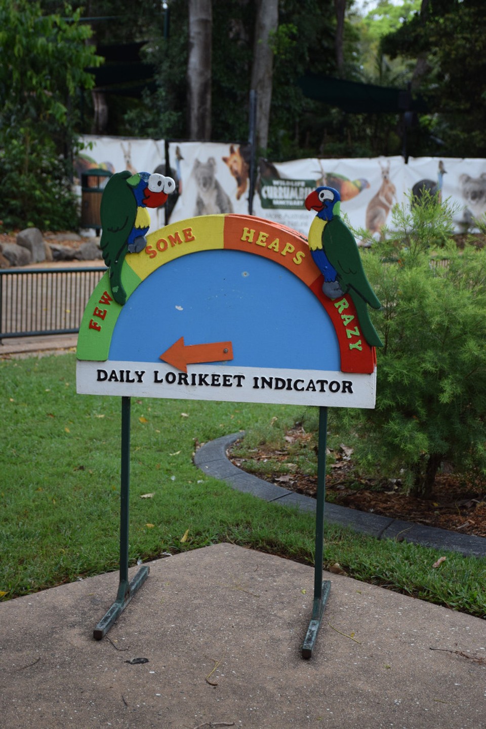 Australien - Currumbin - Der Wildpark ist unter anderem für seine unzähligen Loorikeets (kleine Regenbogen-Papageien) bekannt, die im Umkreis des Parks frei leben und zwei Mal pro Tag in großen Scharen zur Fütterung kommen. Nur heute war keiner zu sehen, da es zu trocken war und sie deswegen selber genug Nektar finden...