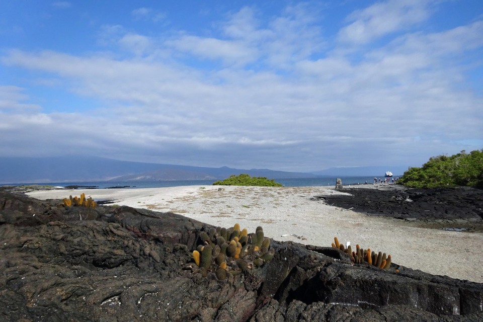 Ecuador - Fernandina Island - Fernandina Island