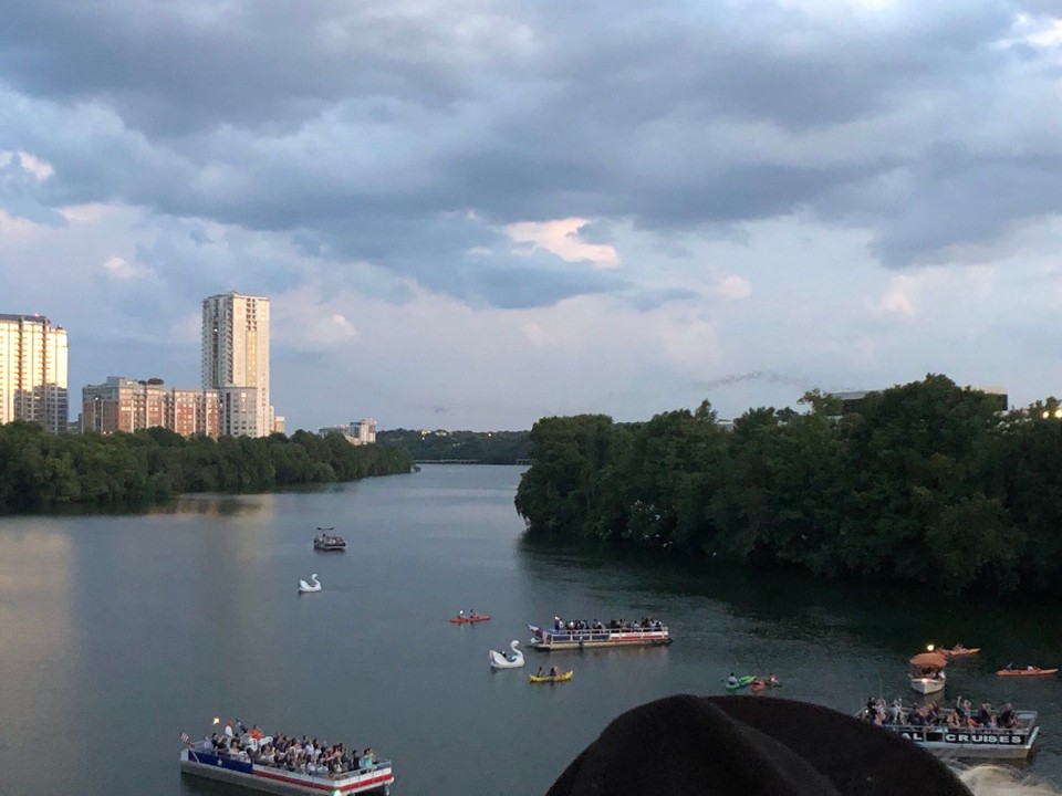 Vereinigte Staaten - Austin - Man sieht es leider nicht so gut, aber die dunklen Schleier rechts über den Bäumen sind die Fledermäuse.