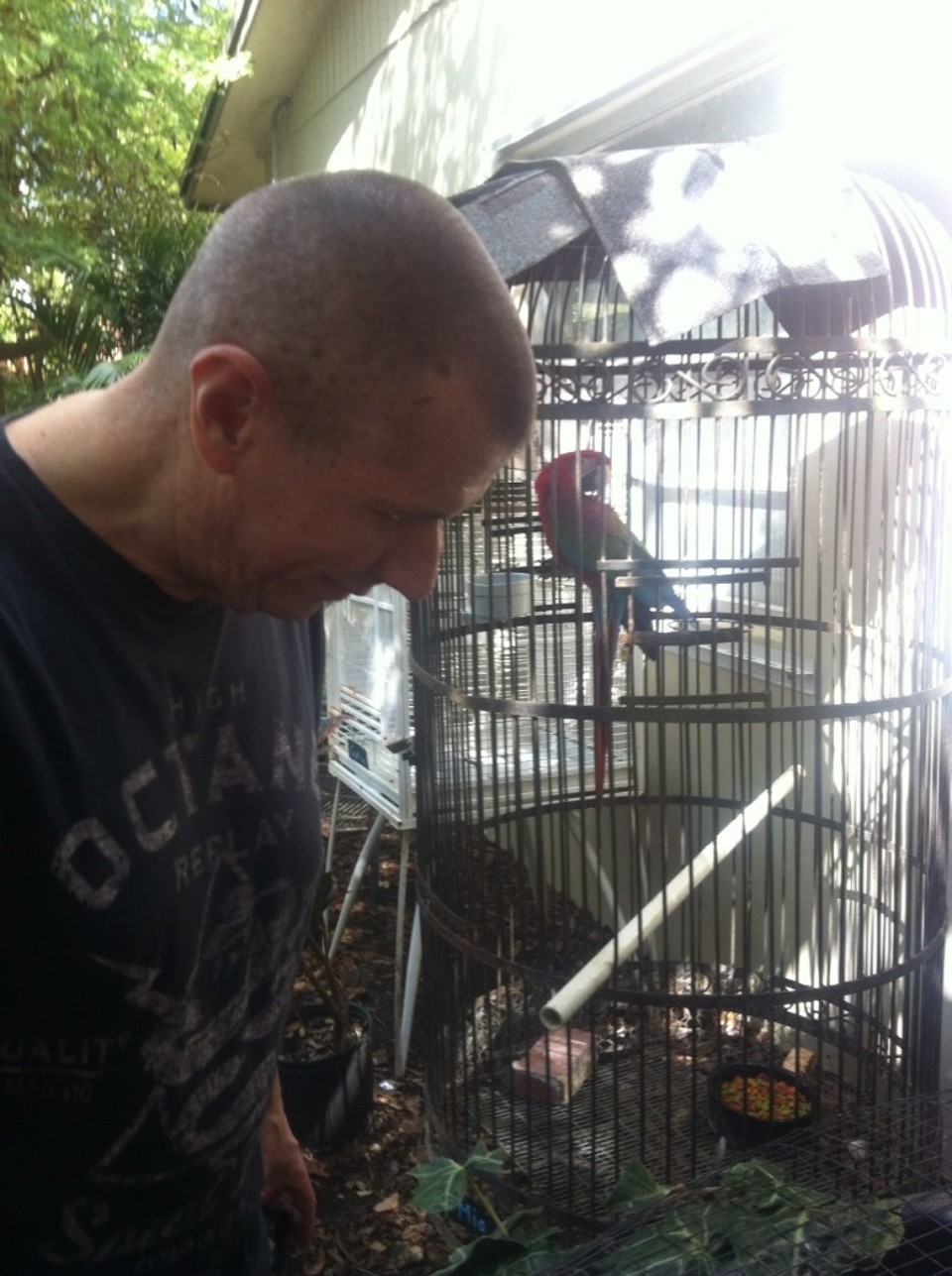 Egyesült Államok - Homestead - 