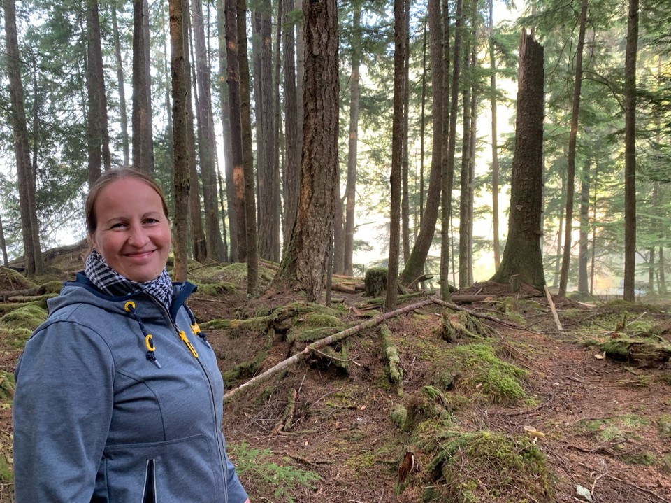 Kanada - Mount Waddington A - 