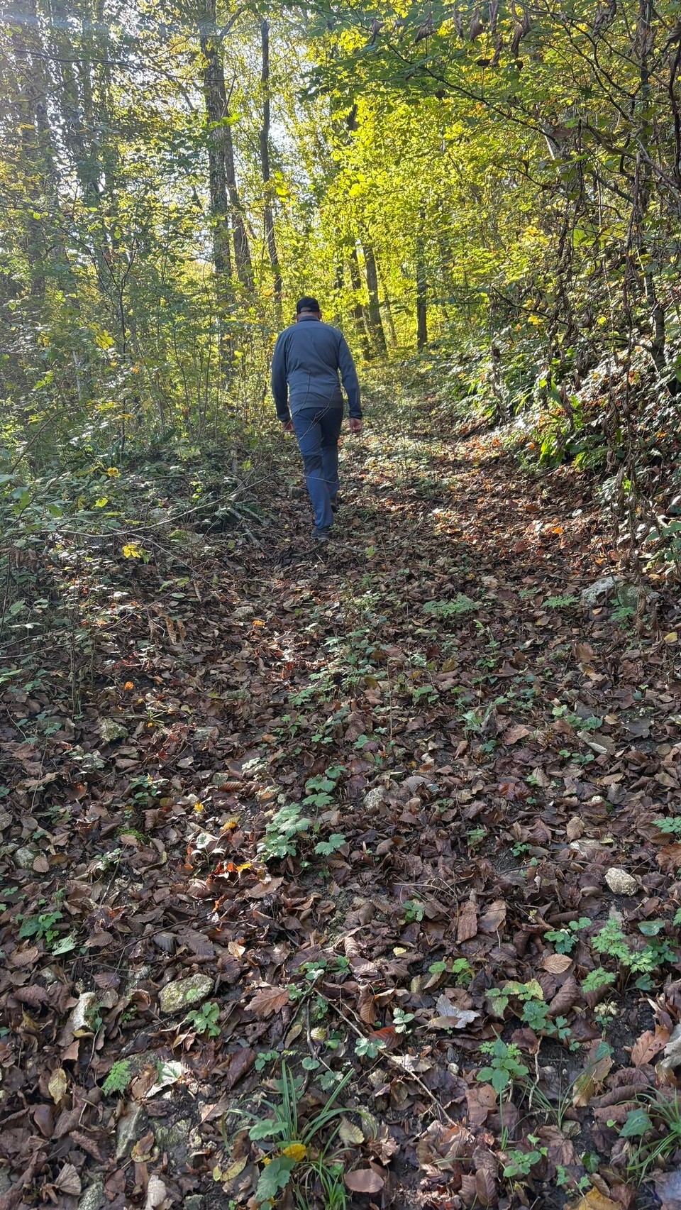 Slowenien - Šentilj v Slovenskih Goricah - Aber erst geht’s hoch zur Burg 