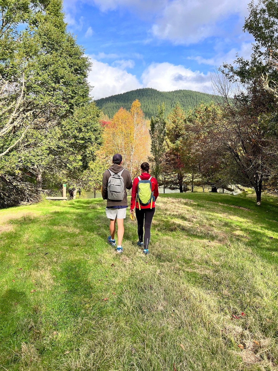 Neuseeland - Gisborne - 