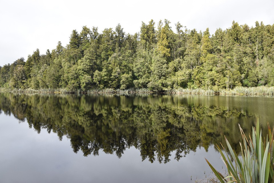 Neuseeland - Lake Matheson - 