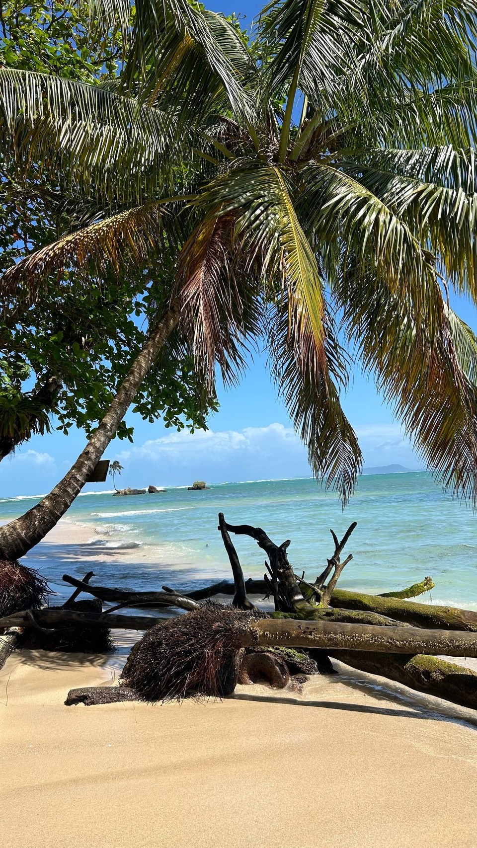 Panama - Provinz Bocas del Toro - 