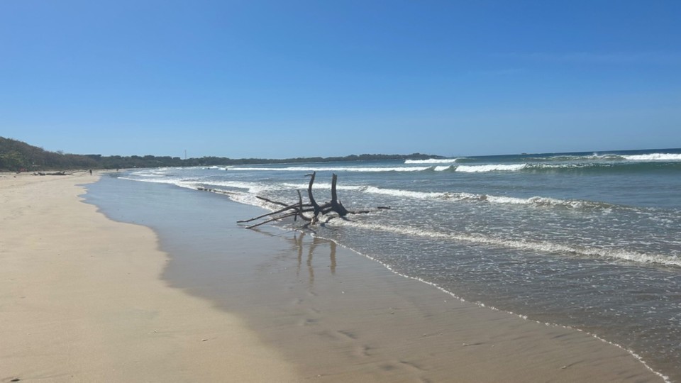 Costa Rica - Monteverde - 