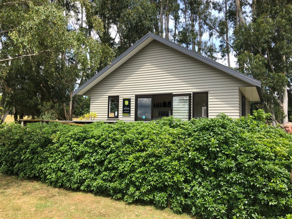 Neuseeland - Martinborough - 4. Stopp; Degustation von Olivenöl 