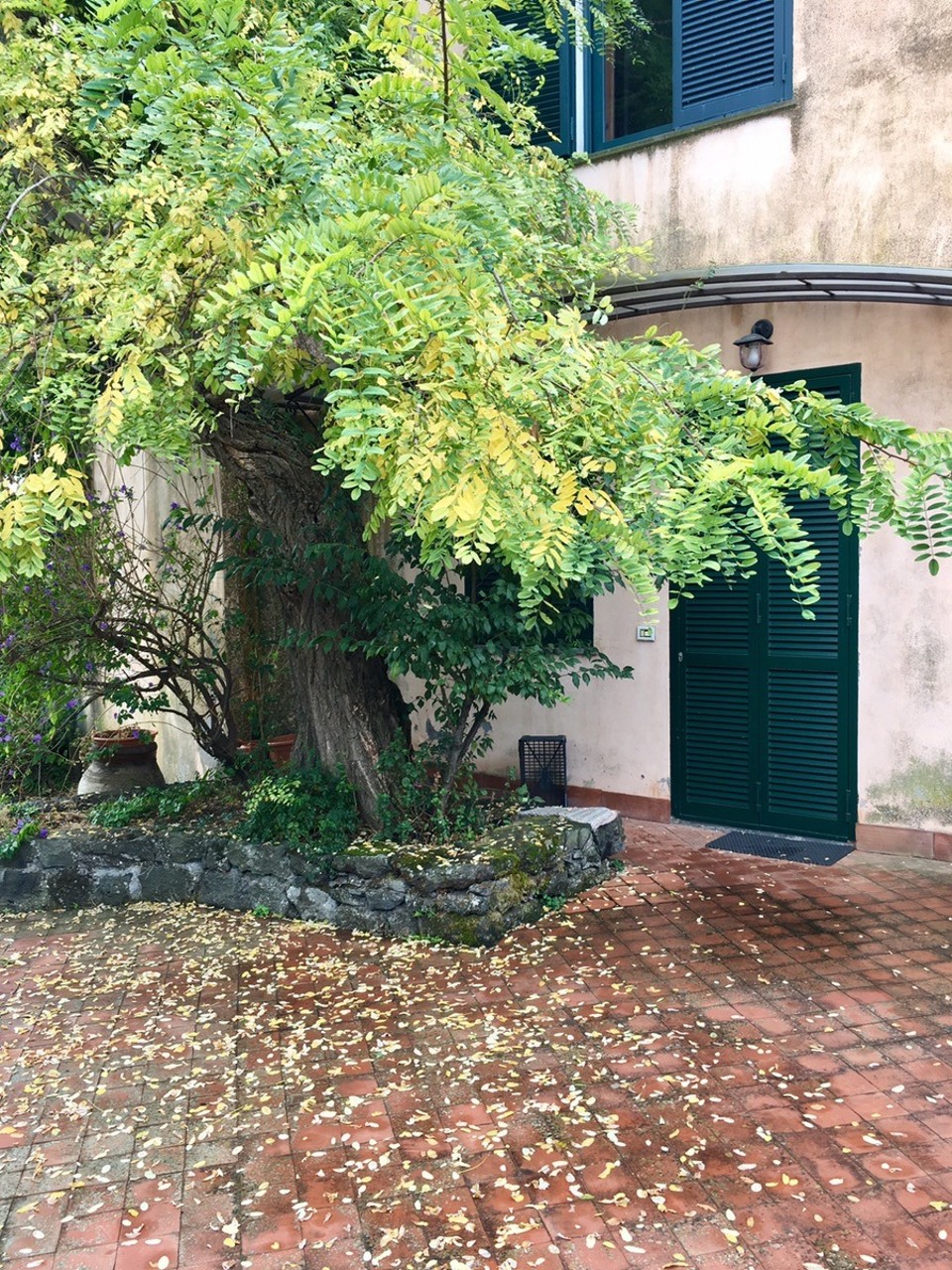 Italien - Piedimonte Etneo - 