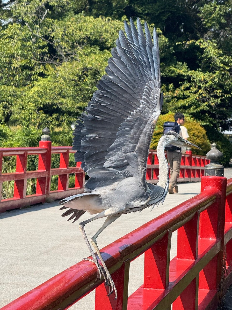 Japan - Matsumoto - Ja!