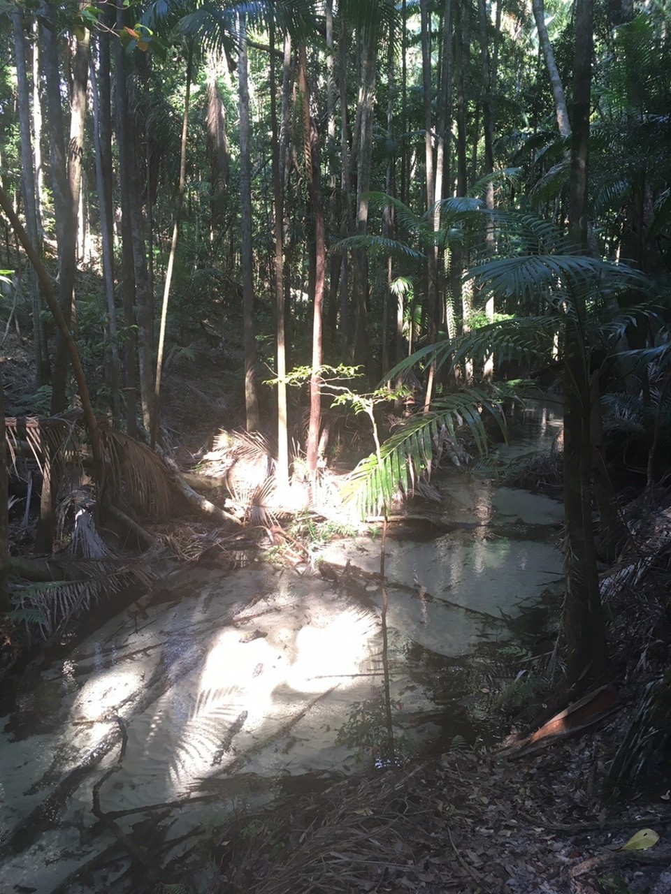  - Ausztrália, Wanggoolba Creek - 