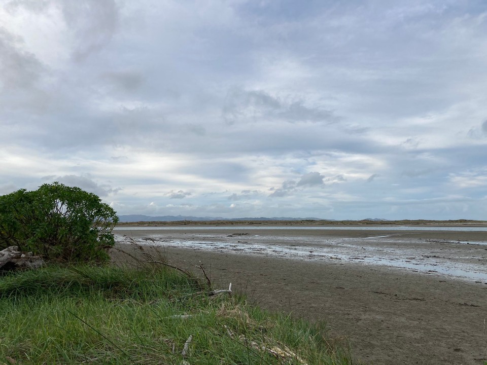 Neuseeland - Manutuke - 