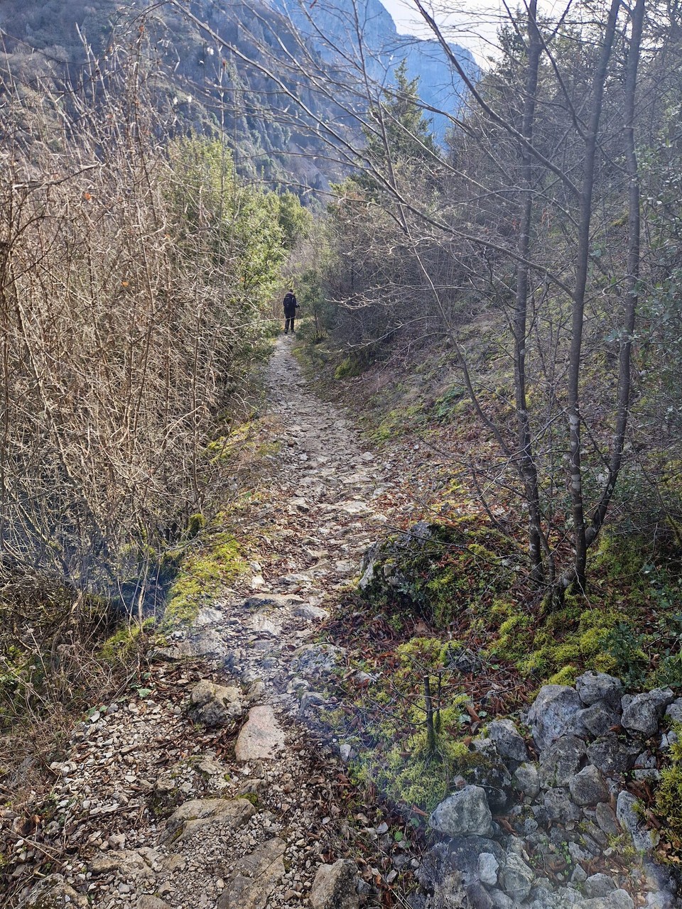 Griechenland - Vikos - 