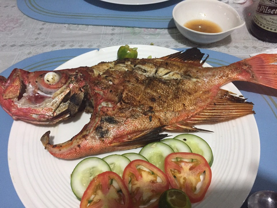 Philippinen - Moalboal - 