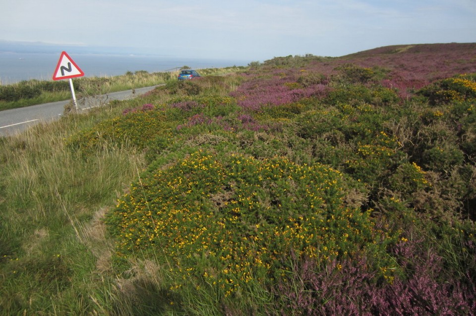 Vereinigtes Königreich - Exmoor-Nationalpark - 