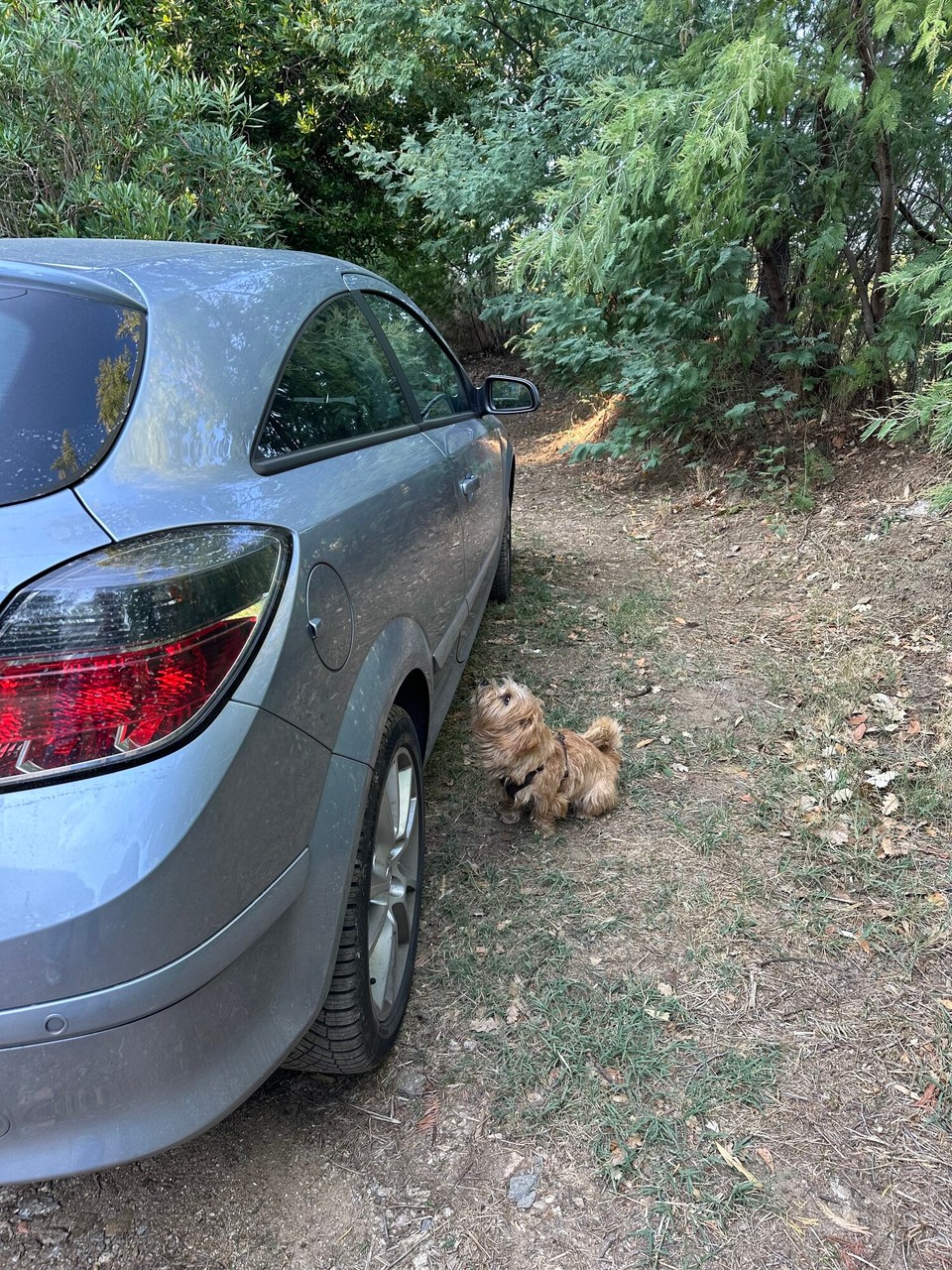 Frankreich - La Garde-Freinet - 
