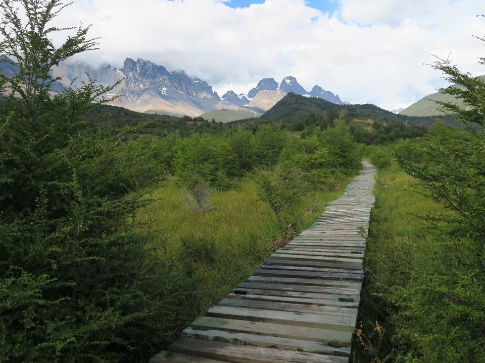 Chile - Torres del Paine National Park - Joli passage en bois, pour eviter de marcher dans un marecage....