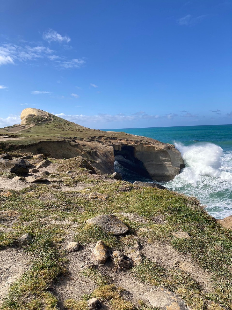 Neuseeland - Dunedin - 