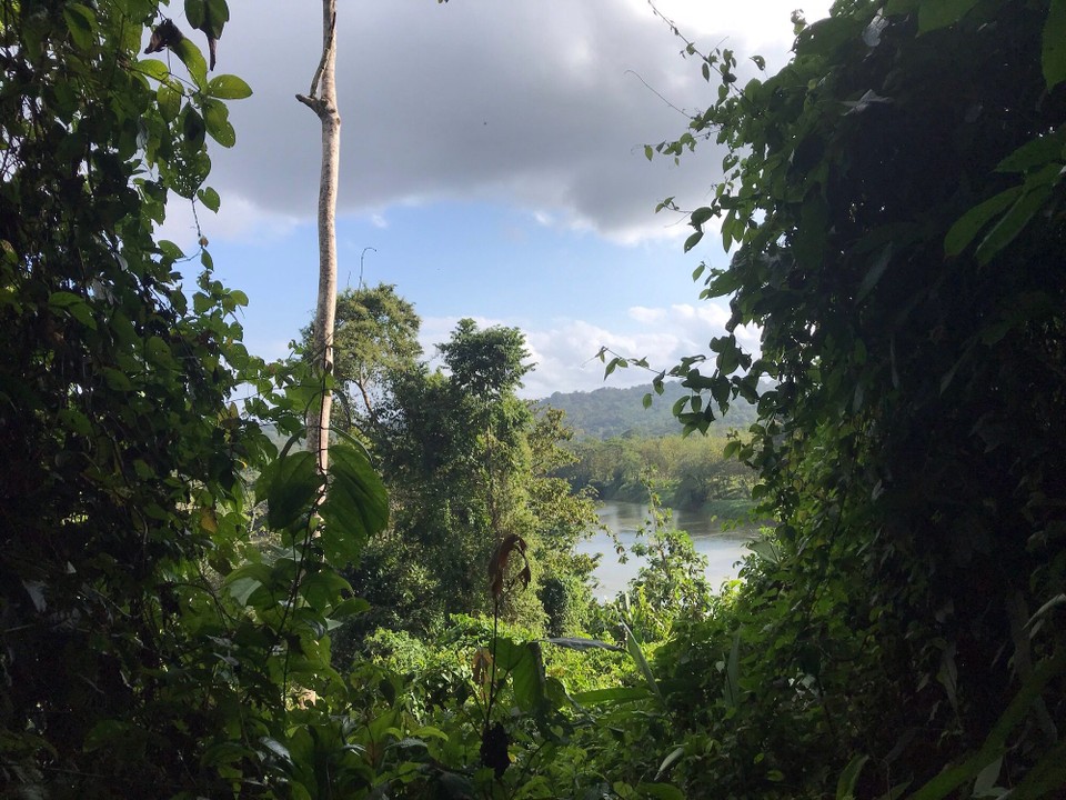 Costa Rica - San Carlos - 