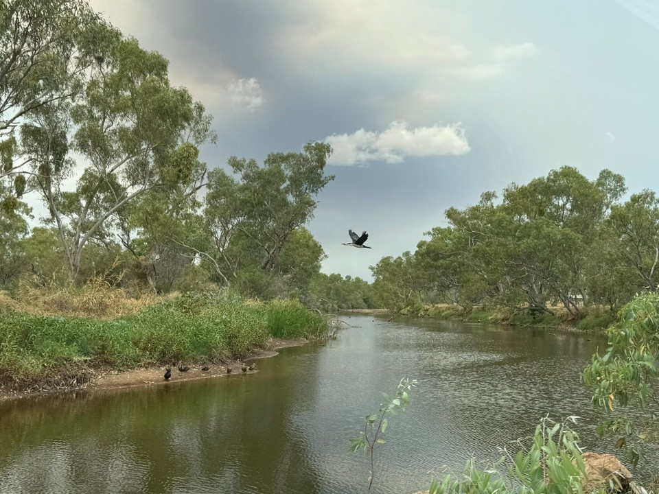 Australien - Tablelands - 