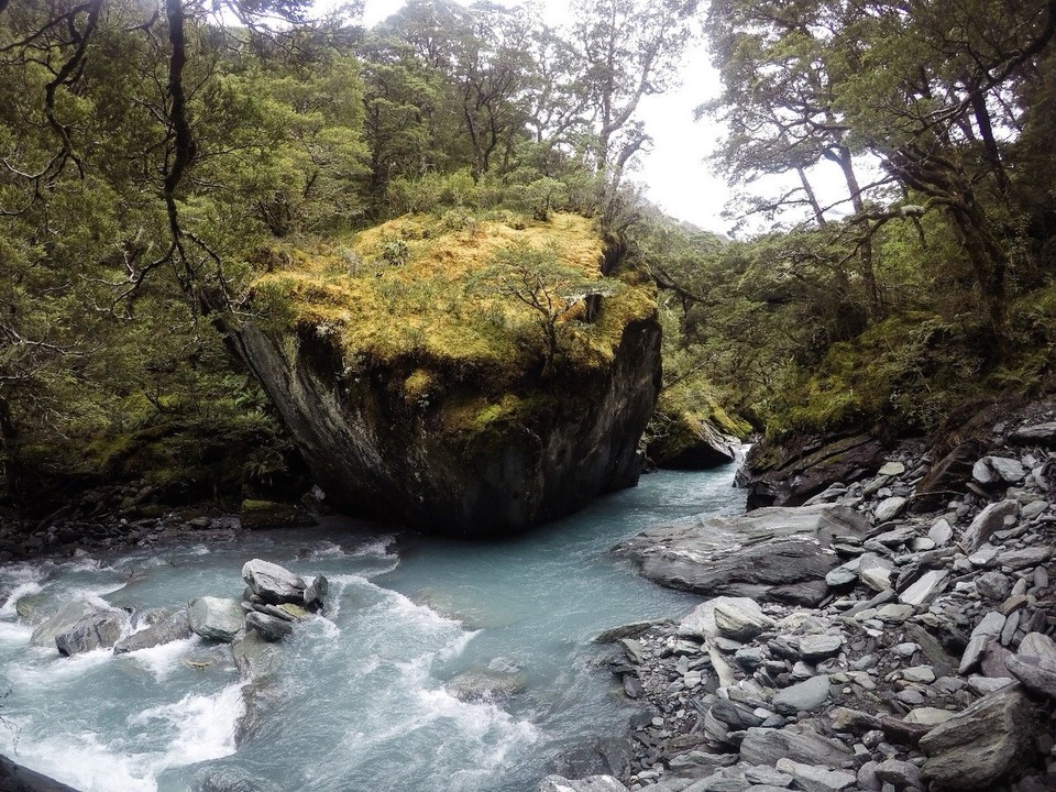 Neuseeland - Wanaka - 