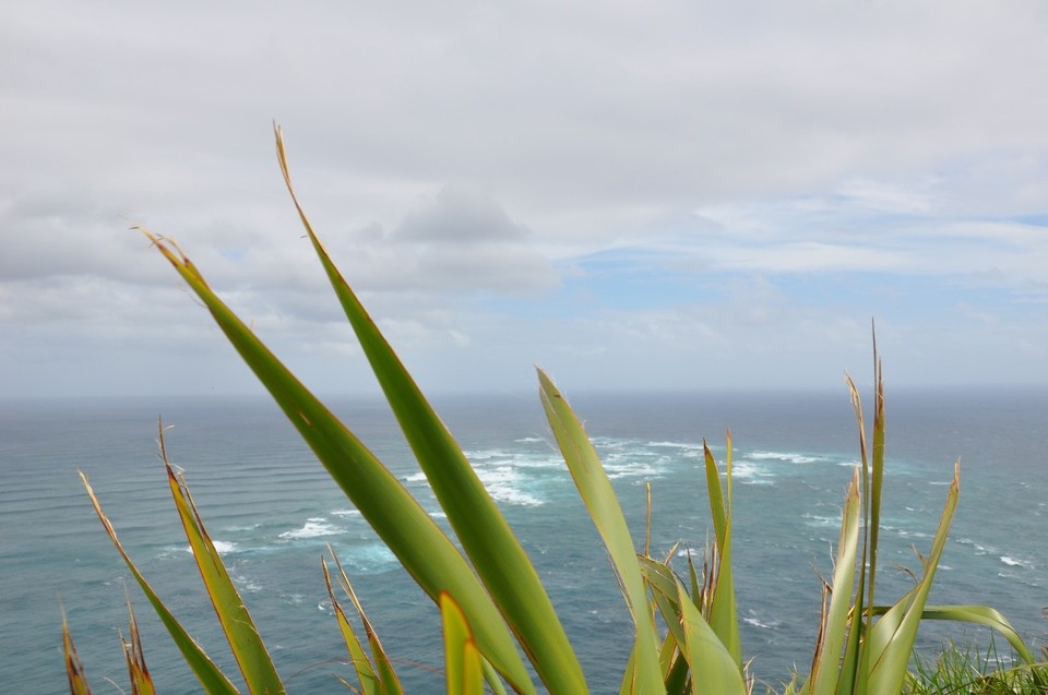 Neuseeland - Mangonui - 
