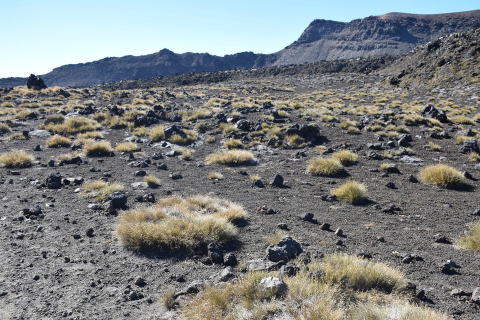 Neuseeland - Tongariro National Park - 