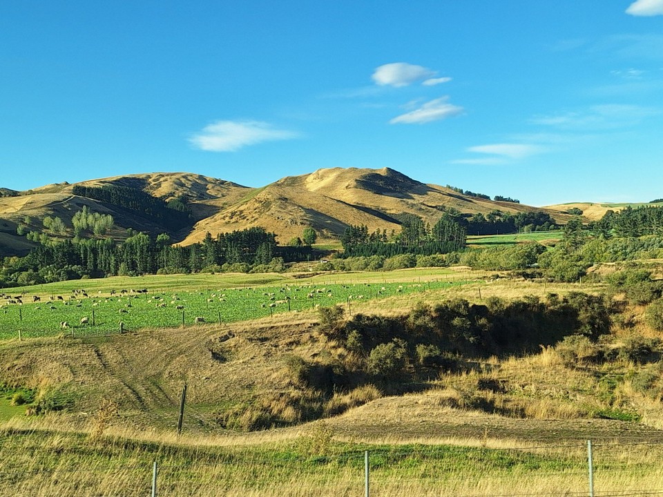 Neuseeland - Picton - Panoramablick