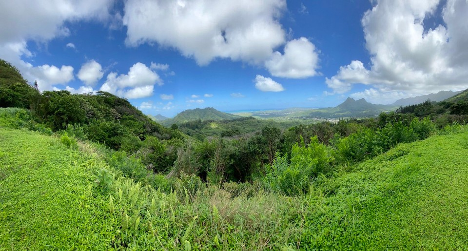 Vereinigte Staaten - Honolulu - 
