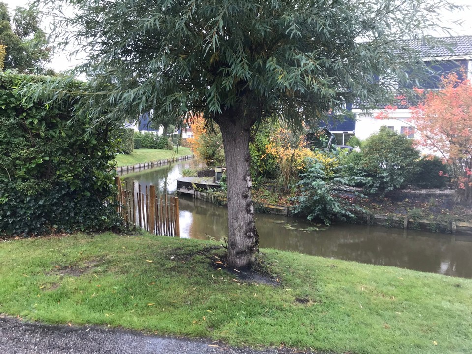 Niederlande - Burgh-Haamstede - Ein nett angelegter Park