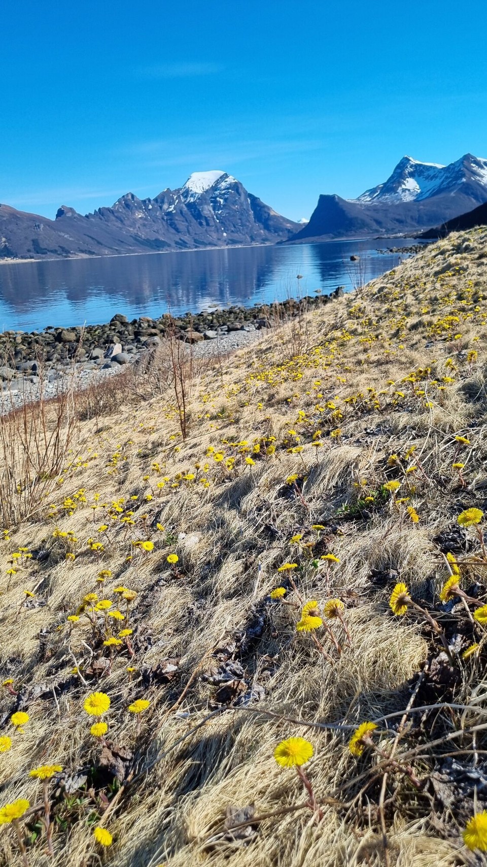 Norwegen - Mo i Rana - 