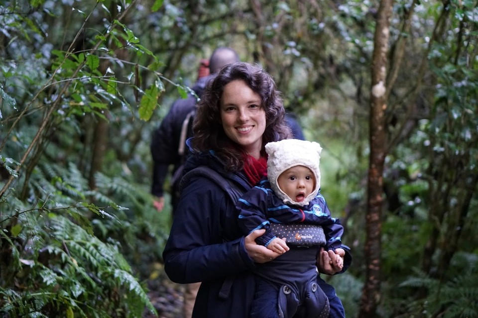 Neuseeland - Waitomo-Distrikt - 