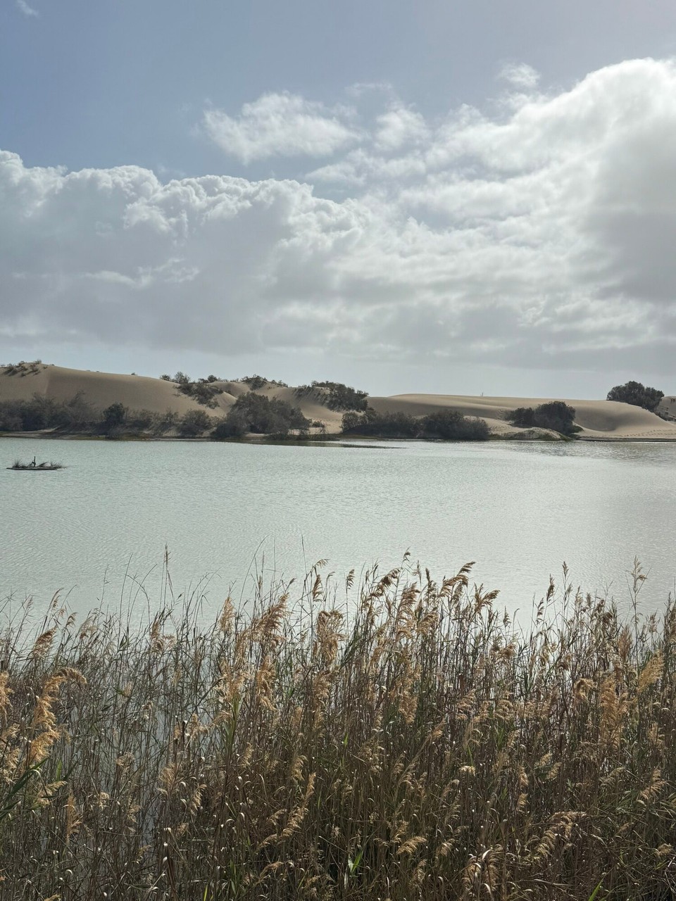 Spanien - Las Palmas de Gran Canaria - 