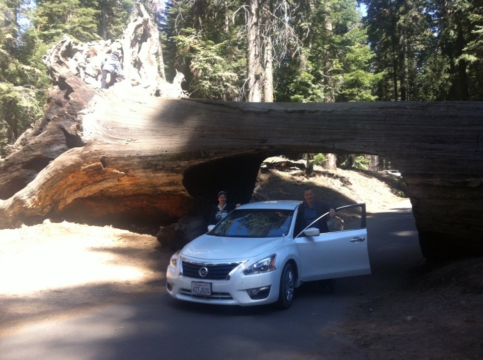 Egyesült Államok - Sequoia National Park - 