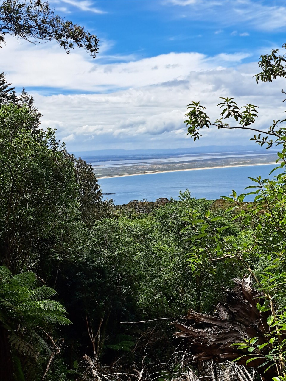 Neuseeland - Bluff - 