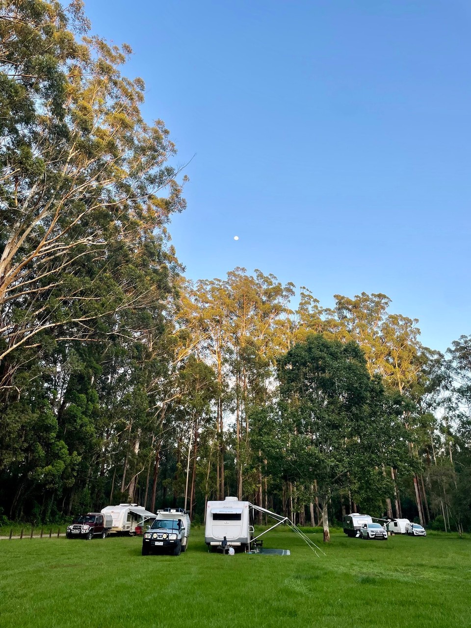 Australien - Sapphire Beach - Übernachte zmitzt im Wald,umgeh vo ganz vill Vögel und Wallabies