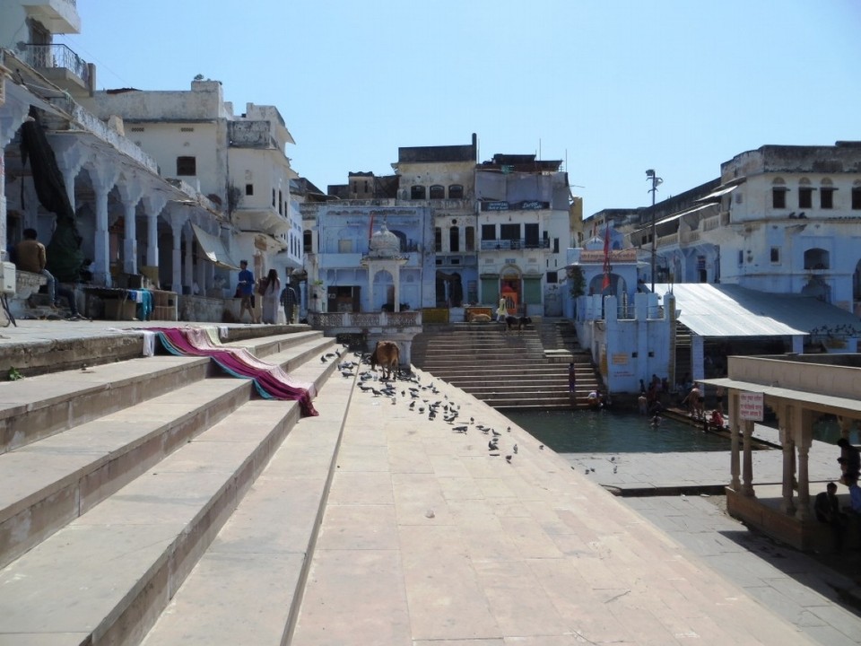 India - Pushkar - 