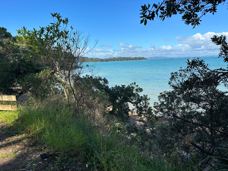 Neuseeland - Waiheke Island - Baden im Pazifik war ja nötig nach der Weinprobe 