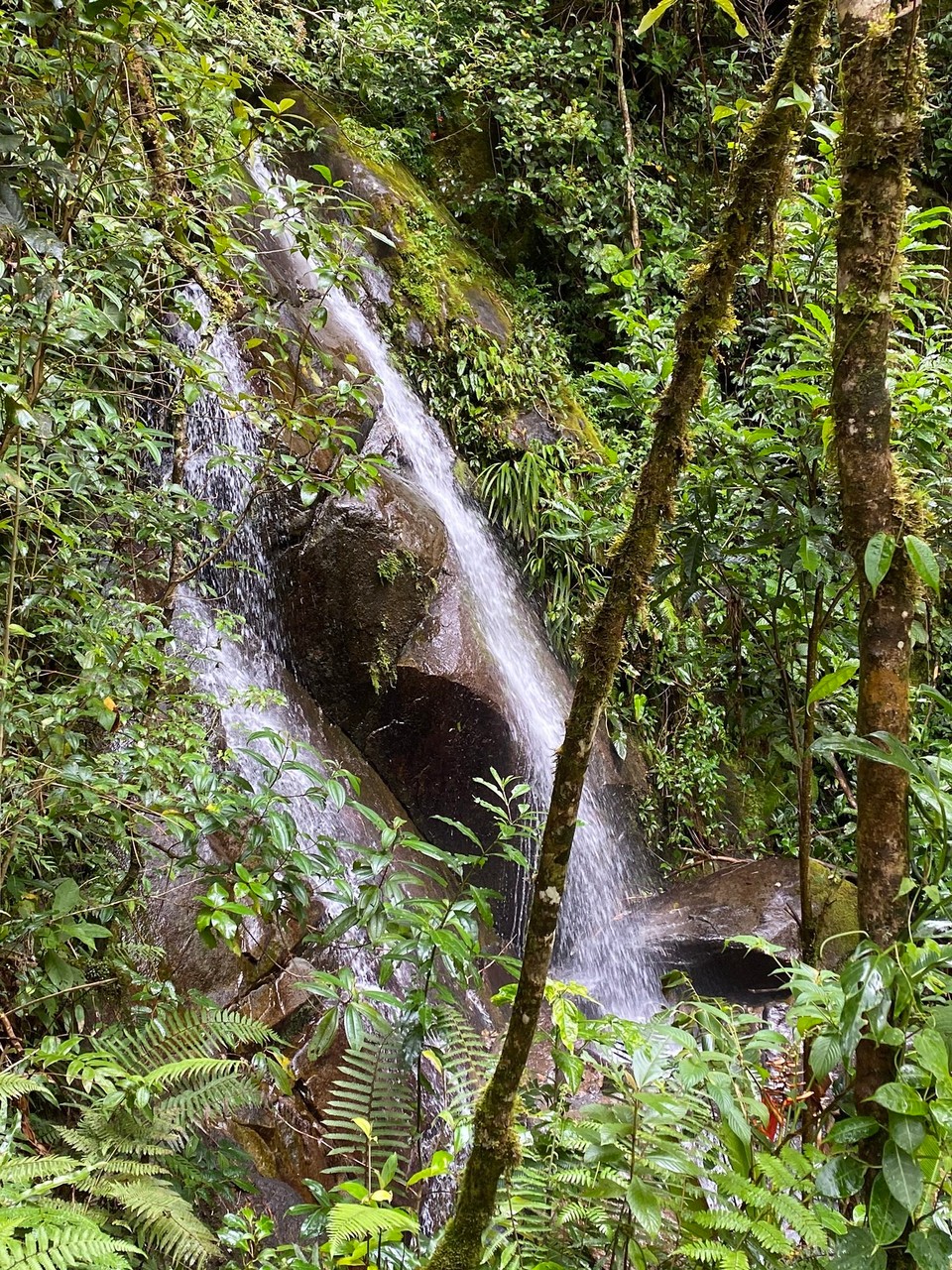 Panama - Boquete - 