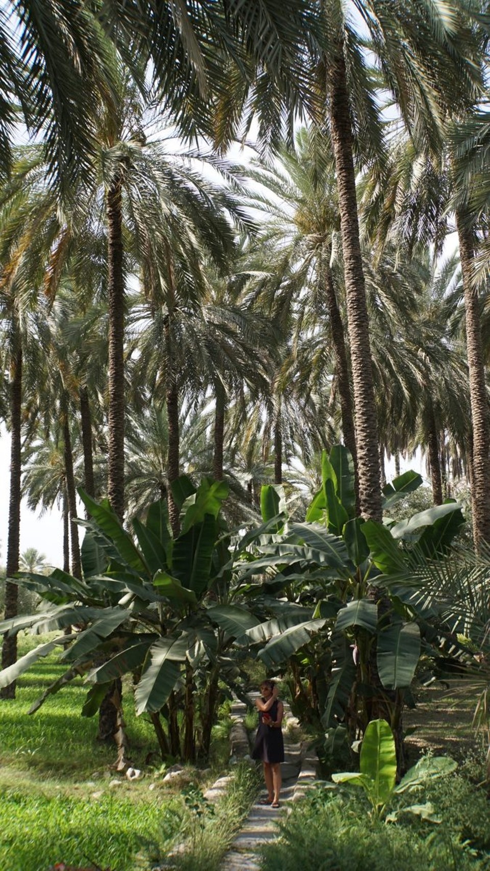 Oman - Bawshar - 