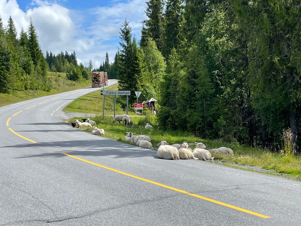 Norwegen - Etnedal - 