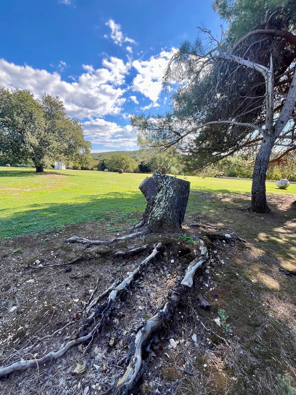 Kroatien - Funtana - 